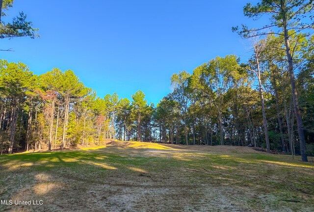 Mount Leopard Rd, Flora, MS 39071