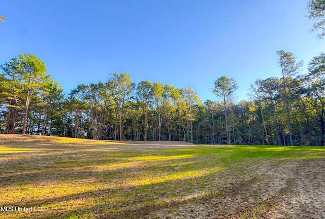 Mount Leopard Rd, Flora, MS 39071