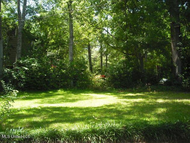 1105 Military Rd, Columbus, MS 39701 - view of green lawn