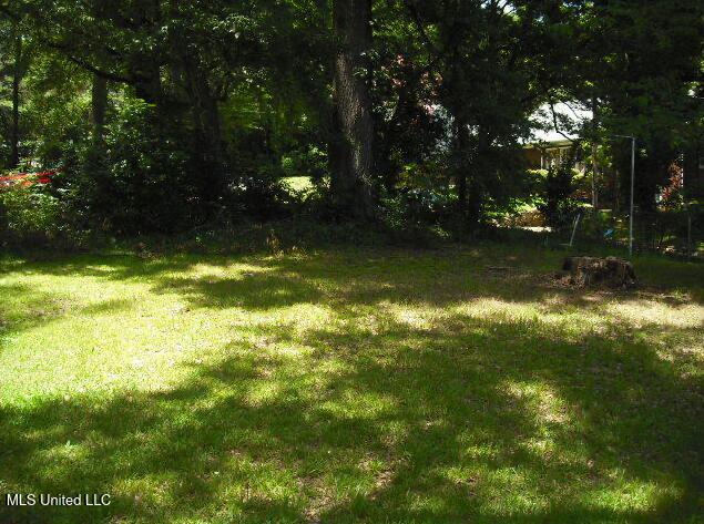 1105 Military Rd, Columbus, MS 39701 - view of grassy yard