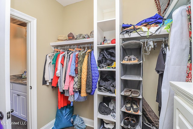 view of walk in closet