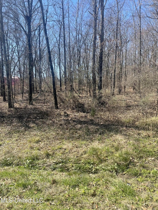 Catlett Rd, Gluckstadt MS, 39110 land for sale