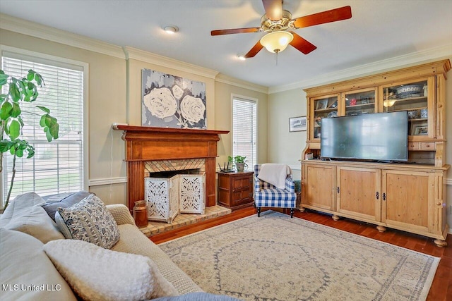 911 Tetbury Pl, Brandon, MS 39047 - living area featuring a ceiling fan, dark wood-type flooring, and ornamental molding