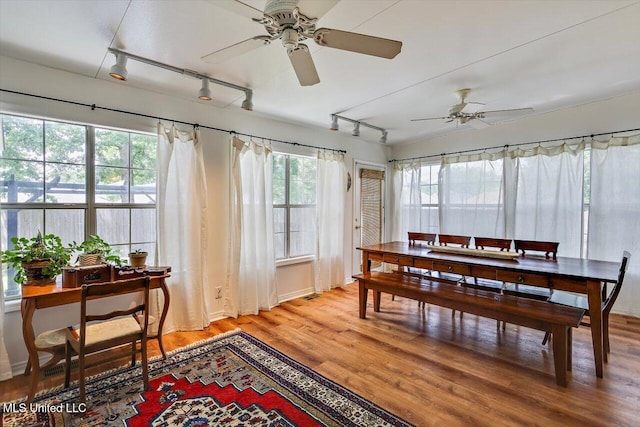 911 Tetbury Pl, Brandon, MS 39047 - sunroom / solarium with rail lighting