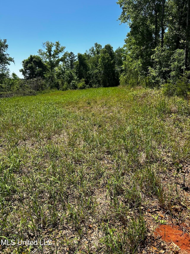 98.5ACRES Crossroads Merrill Rd, Lucedale, MS 39452