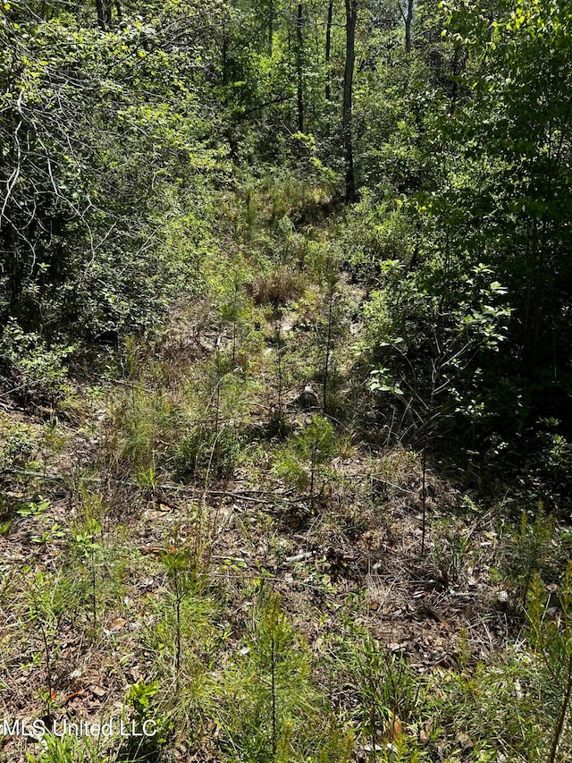 Listing photo 3 for 98.5ACRES Crossroads Merrill Rd, Lucedale MS 39452