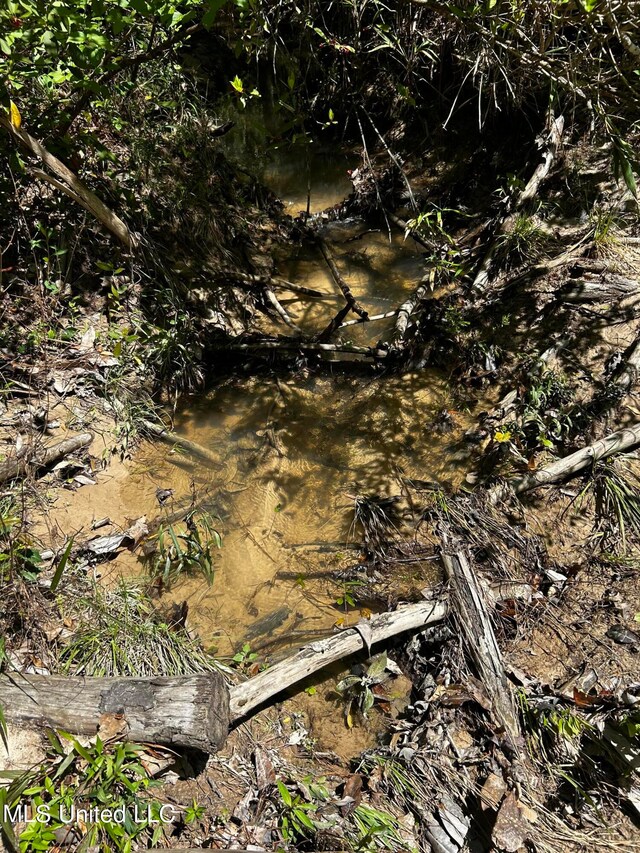 98.5ACRES Crossroads Merrill Rd, Lucedale, MS 39452