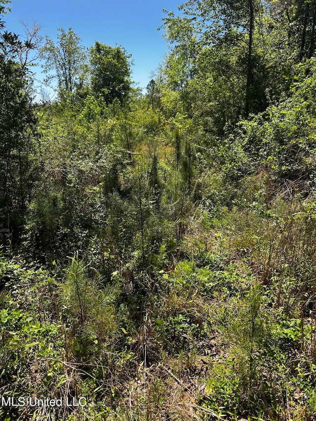 98.5ACRES Crossroads Merrill Rd, Lucedale, MS 39452