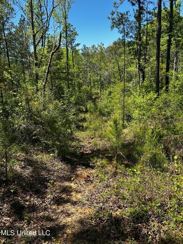 98.5ACRES Crossroads Merrill Rd, Lucedale, MS 39452