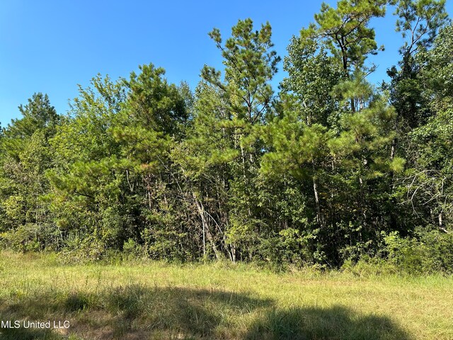 98.5ACRES Crossroads Merrill Rd, Lucedale, MS 39452