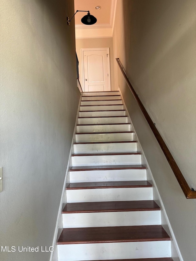 staircase featuring hardwood / wood-style floors