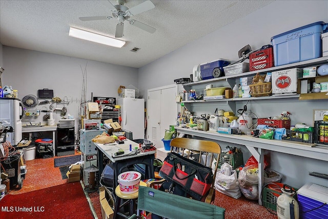 storage area with ceiling fan