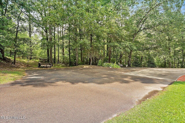 1600 Pine Hill Dr, Raymond, MS 39154 - view of road with a view of trees