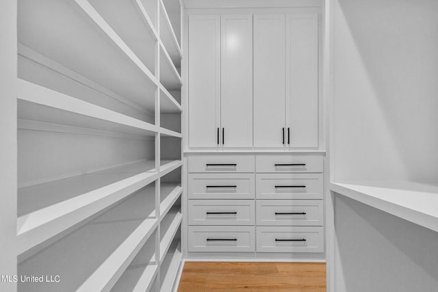 54 Windermere Blvd, Madison, MS 39110 - walk in closet featuring light wood-style flooring