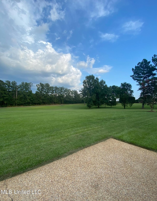 2550 Jones Rd, Terry, MS 39170 - view of grassy yard