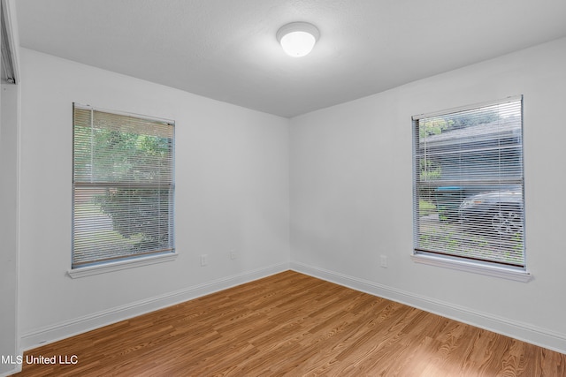 empty room featuring a healthy amount of sunlight and light hardwood / wood-style flooring