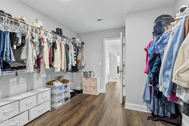 walk in closet with dark wood-style floors and visible vents