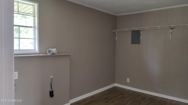 laundry area with dark wood-style flooring, electric panel, crown molding, and baseboards