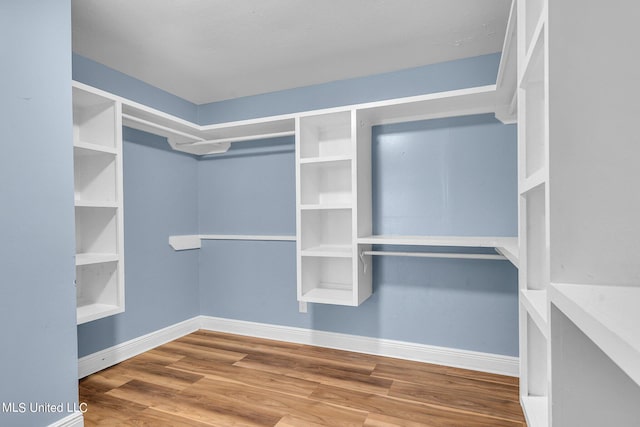 spacious closet with hardwood / wood-style floors