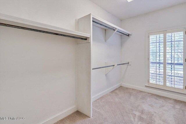 1507 W Flowers Rd, Terry, MS 39170 - spacious closet with light carpet