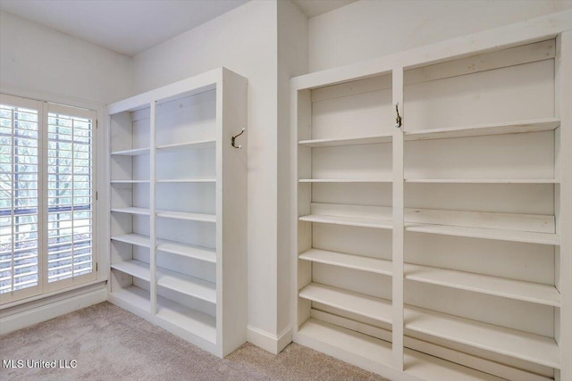 1507 W Flowers Rd, Terry, MS 39170 - view of pantry