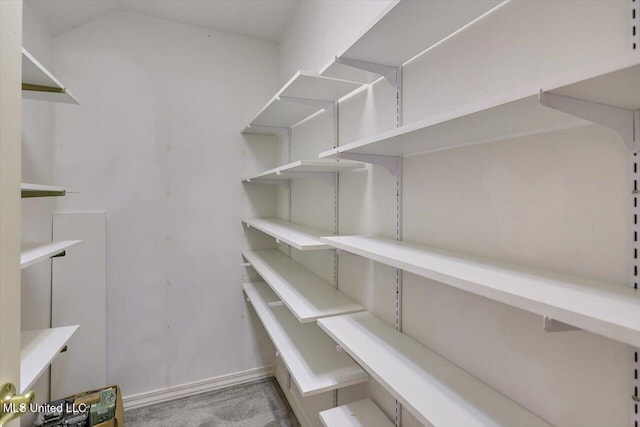 1507 W Flowers Rd, Terry, MS 39170 - view of pantry