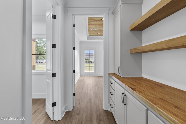 corridor with light hardwood / wood-style floors and a wealth of natural light