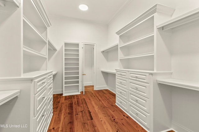 walk in closet featuring dark wood-type flooring