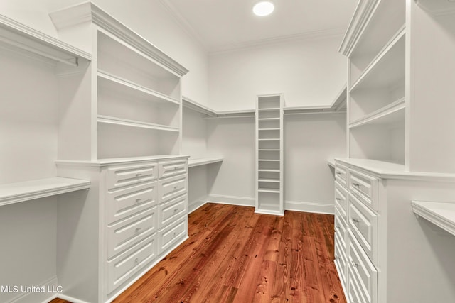 spacious closet featuring dark hardwood / wood-style flooring