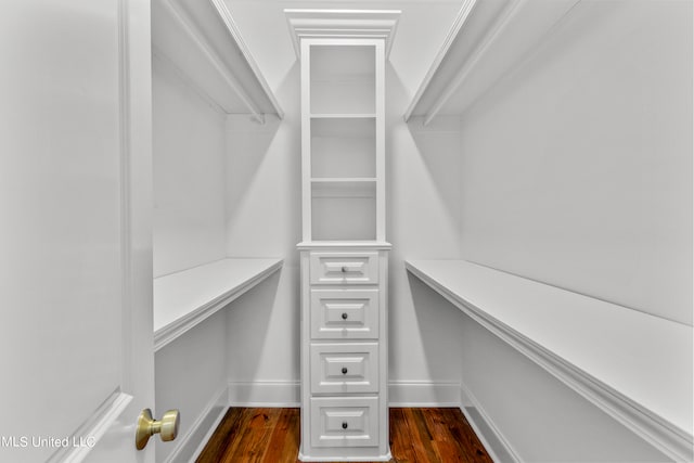 spacious closet featuring dark wood-type flooring