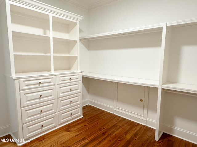 spacious closet with dark wood-type flooring