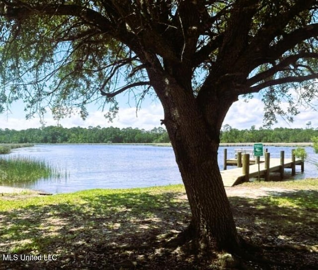 3230 Cumberland Rd Unit 78, Ocean Springs, MS 39564 - water view with a boat dock and a forest