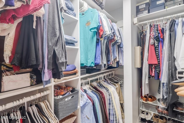 view of spacious closet