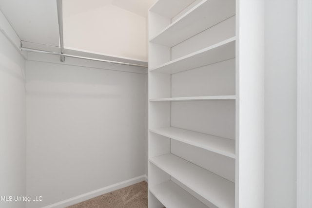 spacious closet with carpet floors