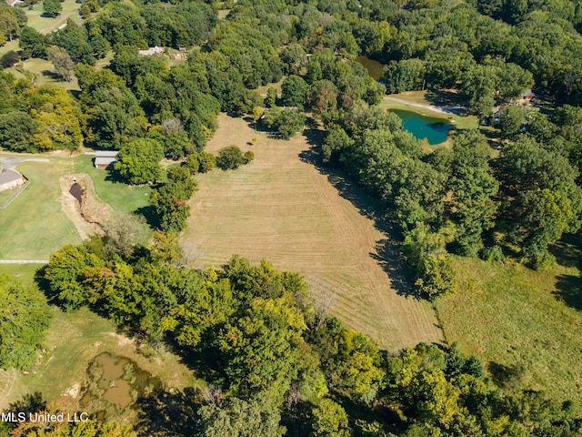 birds eye view of property with a water view and a rural view