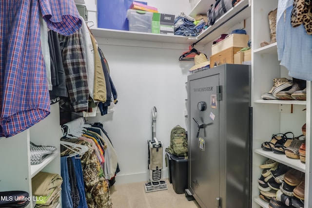 view of walk in closet