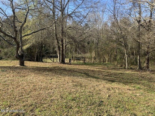 0000 Dry Creek Rd, Mendenhall MS, 39114 land for sale