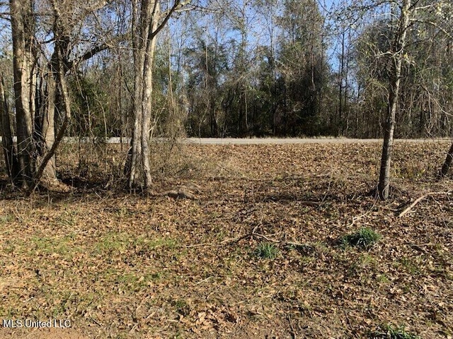 Listing photo 2 for 0000 Dry Creek Rd, Mendenhall MS 39114