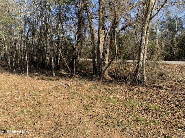 Listing photo 3 for 0000 Dry Creek Rd, Mendenhall MS 39114