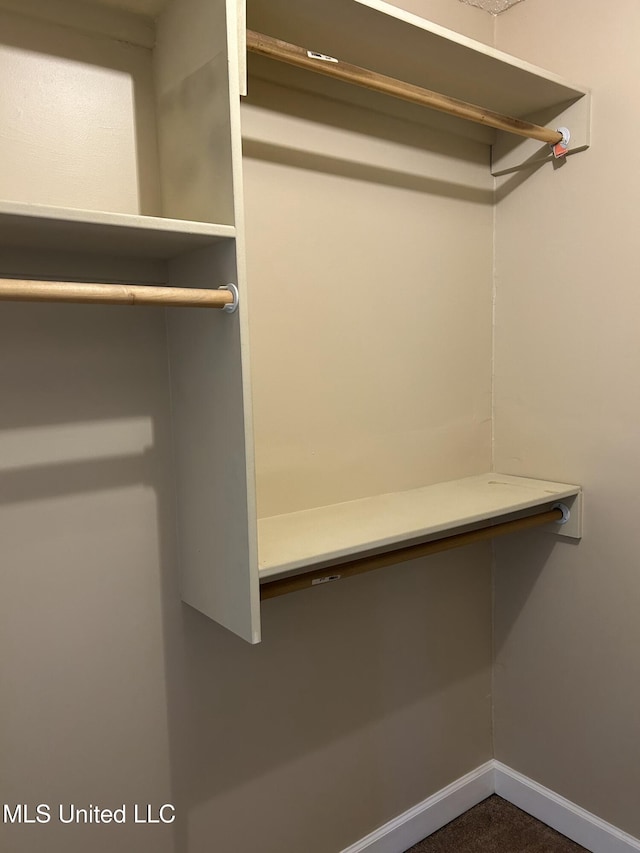 view of spacious closet