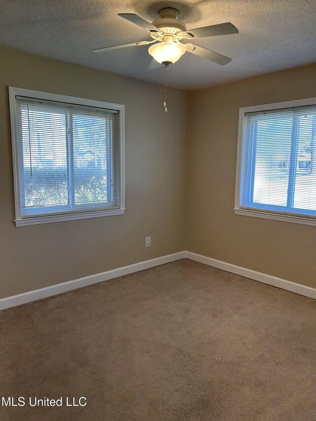 carpeted empty room featuring a textured ceiling, baseboards, and a healthy amount of sunlight