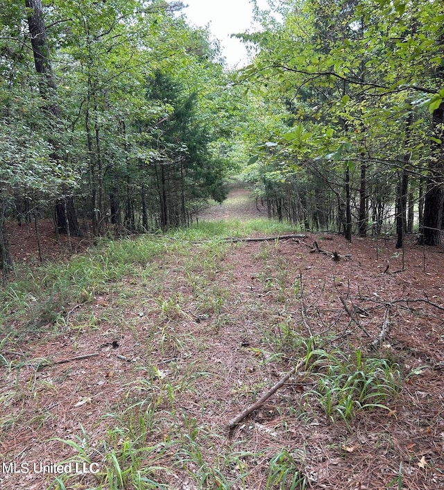 0 Slocum Rd, Hernando MS, 38632 land for sale