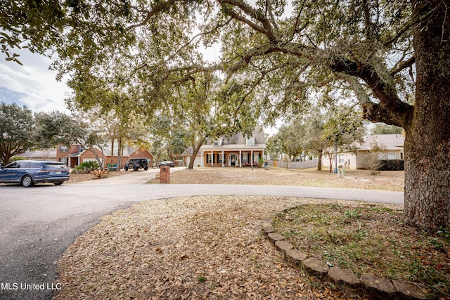 view of yard featuring a porch