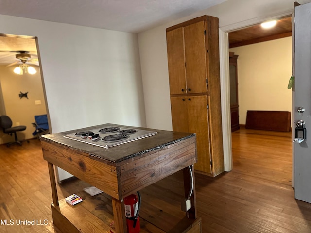 kitchen with ceiling fan and hardwood / wood-style flooring