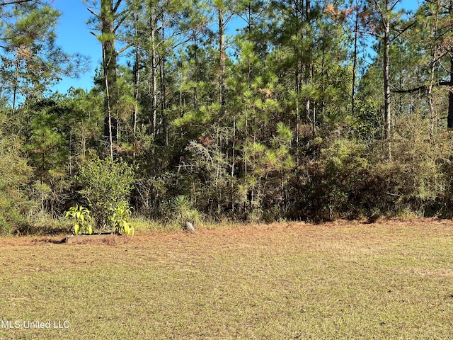 view of local wilderness