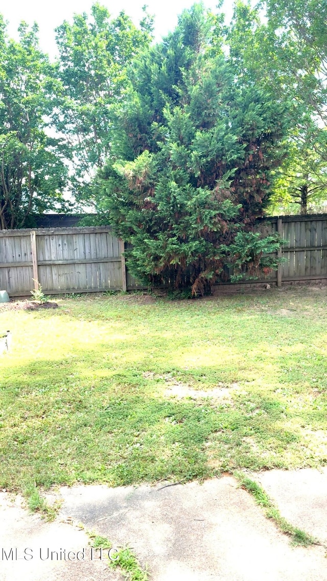 167 Tackett Run, Southaven, MS 38671 - view of fenced backyard