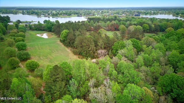 aerial view with a water view and a view of trees