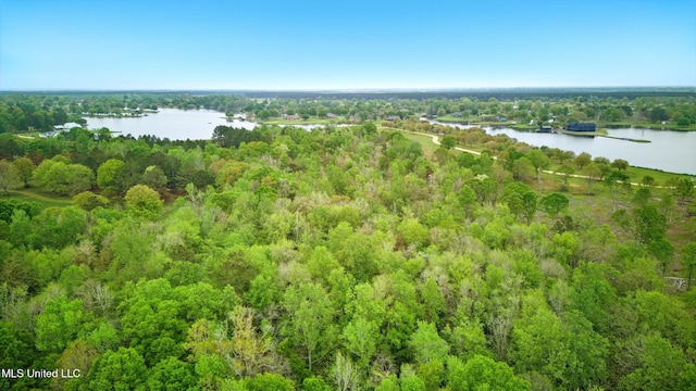 bird's eye view featuring a forest view and a water view