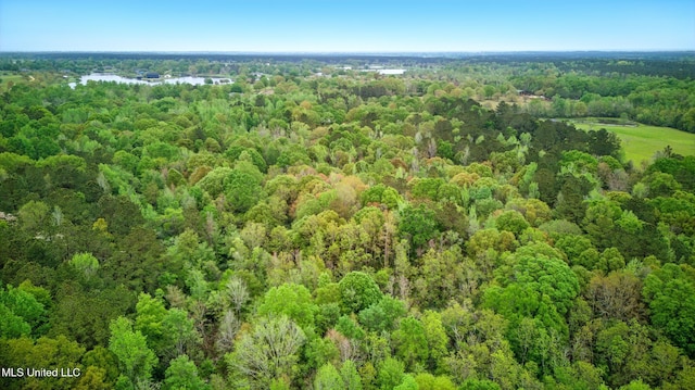 bird's eye view featuring a water view and a forest view