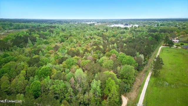 bird's eye view with a water view and a forest view